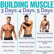 Building Muscle By Jmaxfitness Your Training Split Is Dictated By How Many Days Per Week You Can Train A Workout Splits Gym Plan Beginner Full Body Workout
