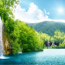 These nature pictures include serene pictures of trees, lakes, plants, flowers, outdoor animals, seascapes and more. Nature Pc Wallpapers Top Free Nature Pc Backgrounds Nature Hd Wallpaper For Pc Neat