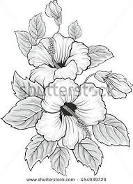Hibiscus flower drawing hibiscus flower tattoos flower drawing images flower sketches blue lotus flower flower art drawing flowers flower drawings cactus flower. Pin By Karola Wiedemann On Pergamin Flower Drawing Painting Patterns Flower Sketches
