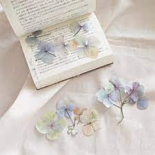 お庭のお花を活用しよう 押し花を使ったオシャレなディスプレイ folk 押し花 お庭 パンフレット デザイン