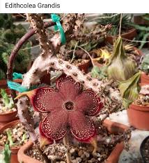 We did not find results for: Edithcolea Hashtag On Twitter