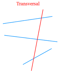 Definition of Transversal in Geometry and Examples