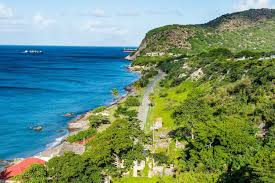 Image result for Staudtia