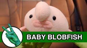 Куклы беби бон хотят кушать! Runforthecube Baby Blobfish Song Baby Shark Parody Runforthecube No Autotune Cover Song Facebook
