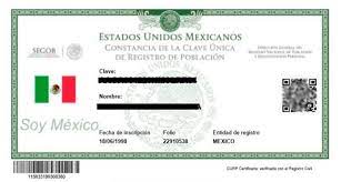 ¿cómo consultar el curp y descargar en línea? Consulta E Impresion De La Curp
