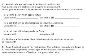 We would like to show you a description here but the site won't allow us. 12 Animal Cells Are Healthiest In An Isotonic Chegg Com