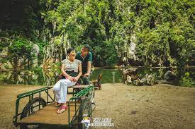 Qing xin ling leisure and cultural village. 10 Things To Do æ¸…å¿ƒå¶ºä¼'é—²æ–‡åŒ–æ' Qing Xin Ling Leisure Cultural Village Holiday Travel Things To Do Leisure