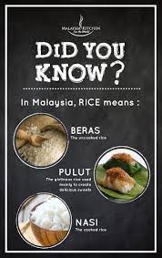 Ready to learn a few fun facts about malaysia? Fun Fact About Rice In Malaysia Didyouknow Malaysiakitchen Foodfact Food Facts Food Glutinous Rice