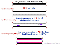 Pin By Biology 4u On Simple Biology Videos Chain Reaction Reactions Molecular Genetics