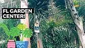 Hotels near big cat habitat and gulf coast sanctuary. The Big Earth Garden Center Sarasota Florida Youtube