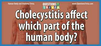 Find out how much water is in the average human body. Question Cholecystitis Affect Which Part Of The Human Body