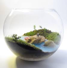 Petite Green We Create Miniature Worlds Terrario Garden Terrarium Terrarium Terrarium Plants