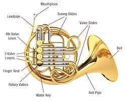 French Horn Diagram Get Rid Of Wiring Diagram Problem