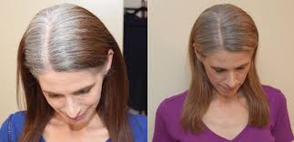 Such highlighting techniques allows you to brighten up your mane without dedicating ash blonde hair color is a wonderful choice for women with most of the skin types. Gray Hair Transition Don T Do What I Did Full Life Reflections