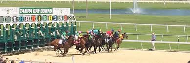 Check our today's best picks on tampa bay downs. T A M P A B A Y D O W N S R A C E P I C K S Zonealarm Results