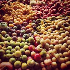 614 likes · 4 talking about this. The Kitchen Table At Pound Ridge Hours