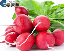 Hạt giống củ cải đỏ 12gr củ tròn đều vỏ đẹp dễ trồng và năng suất cao