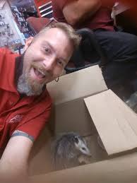 Happy National Opossum Day!...