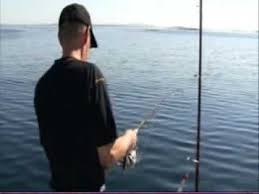 The 10 best spinning rods for inshore fishing. Stress Testing The St Croix Avid Inshore Series Rod Youtube