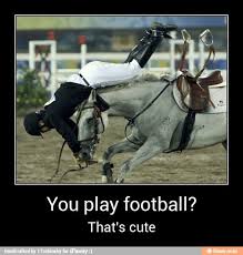 Funny Quotes Horses Jumping Quotesgram