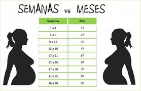 Semana no se qué más poner …. Cuantos Meses Son 22 Semanas Club De Bebes Julio 2018 Babycenter