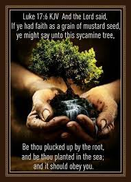 Pin On Christian Quotes Pictures