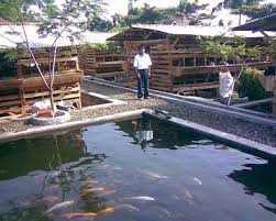 Untuk kolam ikan yang berukuran lebih besar, dapat menggunakan sistem filter atau penyaringan yang lebih baik lagi. Cara Membuat Kolam Koi Zona Ik N