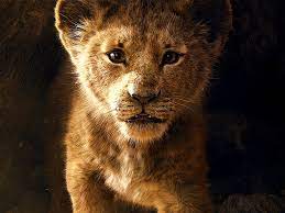 Learn more by dom carter , georgia coggan 09 november 2020 there's someth. The Lion King Digital Download Disney