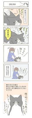 うちの猫がまた変なことしてる 卵山玉子 たまごやま たまこ 期間限定 毎日連載 うちの猫がまた変なことしてる 第9話 コミックエッセイ劇場 猫 猫 漫画 にゃんこ