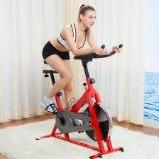 sf b1001 indoor cycling bike review
