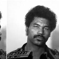 Criminal Canvas Podcast : Ashlie Lawson: Amazon.in: Audible Books &  Originals