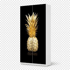 خزائن وخزائن الملابس ايكيا نافذة باب الستائر والظلال غسالات باب المطبخ الأثاث Png