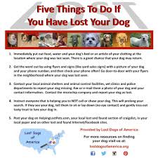 Don't be part of the problem! Please Read Before Posting To Our Lost Dogs Of Wisconsin Facebook