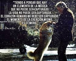 Pin En Quotes Lyrics