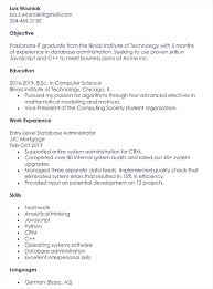 This post contains samples of professional it resume templates. 20 Best It Expert It Professional Resume Templates Word Psd