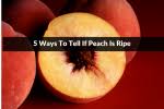 That's an indicator that the peach isn't ripe and was plucked from the tree way too early. How To Tell If A Peach Is Ripe To Eat