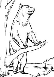 Free Easy To Print Bear Coloring Pages In 2020 Bear Coloring Pages Coloring Pages Christmas Tree Coloring Page