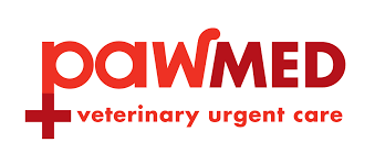 Advantages of urgent pet care. Urgent Care Veterinarian Pawmed Veterinary Urgent Care