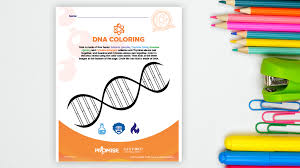 Dna Coloring Page Printable Sanford Promise All rights belong to their respective owners. dna coloring page printable sanford