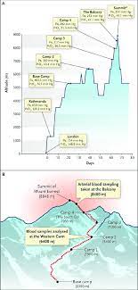 We did not find results for: Barometric Pressure Pb And Partial Pressure Of Inspired Oxygen Pio 2 Download Scientific Diagram