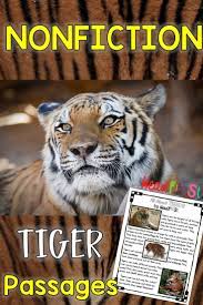 Tigers Close Reading Comprehension Passages Questions And Writing Activities Reading Comprehension Passages Close Reading Comprehension Reading Comprehension