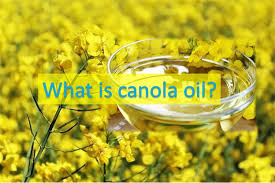 Rapeseed Oil Became Canola Oil Healthylife Werindia