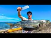 CATCH AND COOK) Fish Was Too BIG To Eat Alone - YouTube
