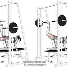 Exercise Behind The Neck Seated Barbell Overhead Press Type Compound Vertical Push Target Anterior Deltoi In 2020 Smith Machine Smith Machine Workout Glutes Workout