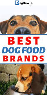 Best Dog Food Brands Best Dog Food Brands Best Dog Food Dog Food Brands