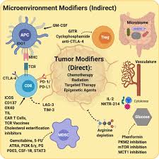 If users were able to spend their coins more than once, it would effectively. The Future Of Cancer Immunotherapy Microenvironment Targeting Combinations Cell Research