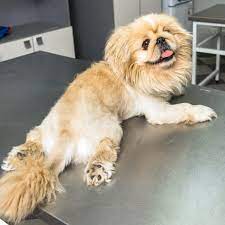 Vet hospital in oakland park, fl. About Us East Bay Veterinary Clinic Oakland Gp Veterinarian