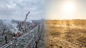 Clima extremo sacude Europa y EE.UU.: frío, calor y tornados