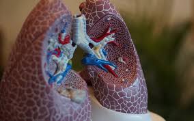 As with any type of cancer, early detection is a key factor when it comes to chances of survival. 5 Early Warning Signs That You Might Have Lung Cancer