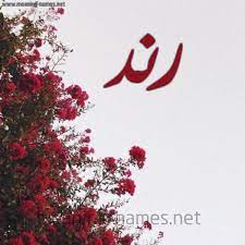 رند شكل 18 صوره الورد الأحمر للإسم بخط رقعة كتابة على الورد 2021